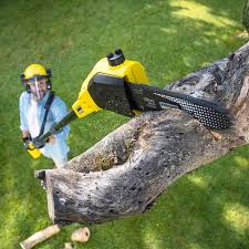 Mulching Services in La Mirada, CA